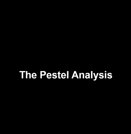 THE PESTEL ANALYSIS